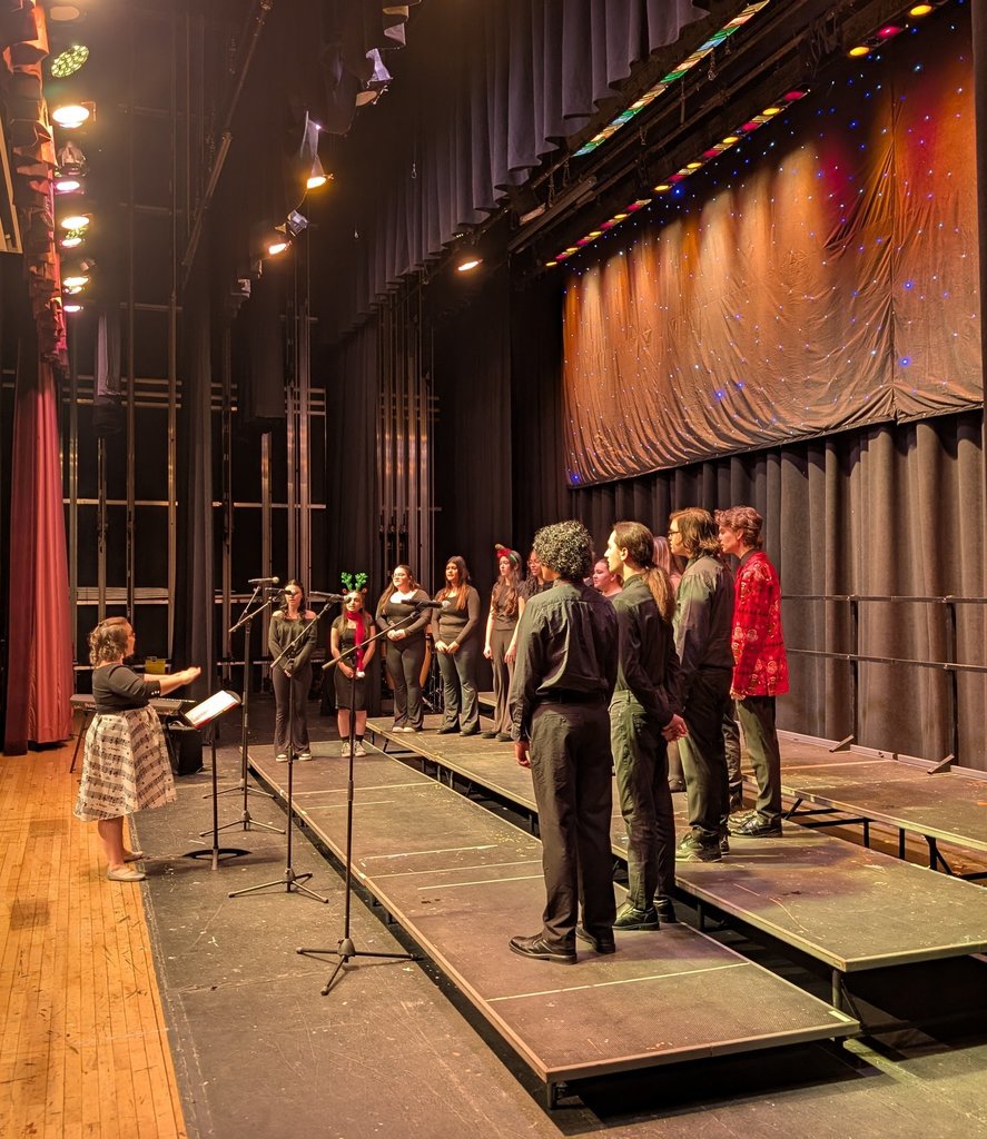 Image of the BHS select choir performing on stage. 