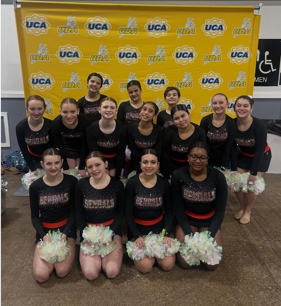Image of the ROBMS Dance team posing in front of the UDA banner. 