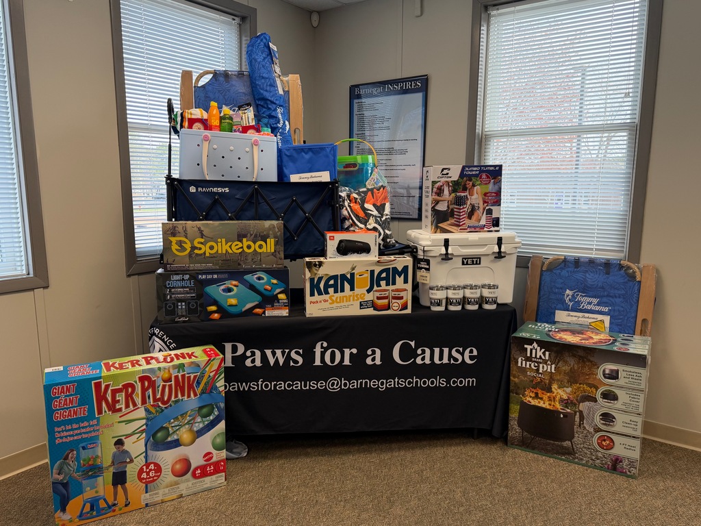 Image of the beach cart raffle items on display on a table with a Paws for a Cause table cloth. 