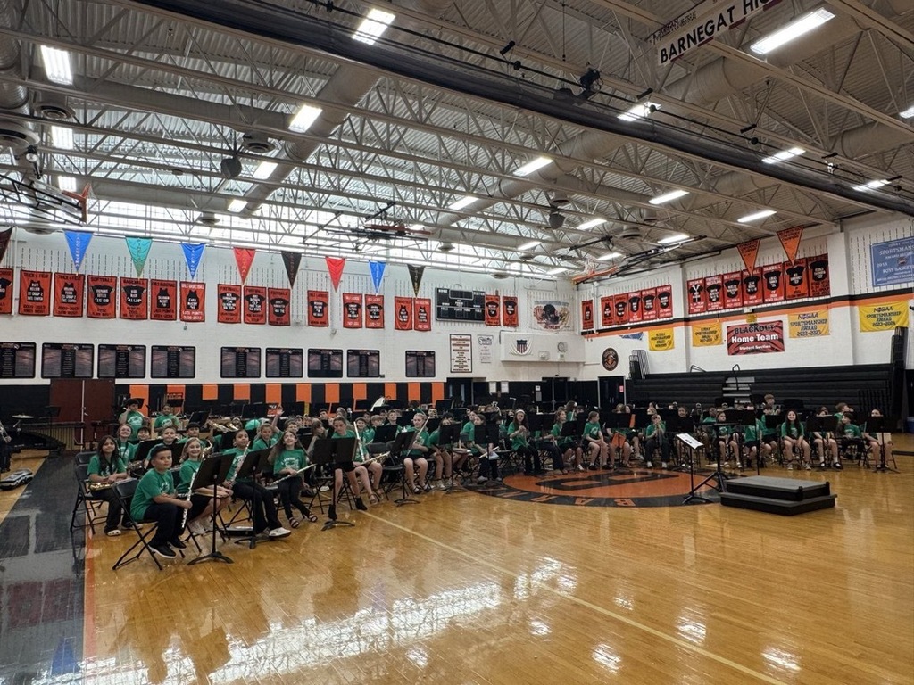 Image of the JTDS band performing in the gym.