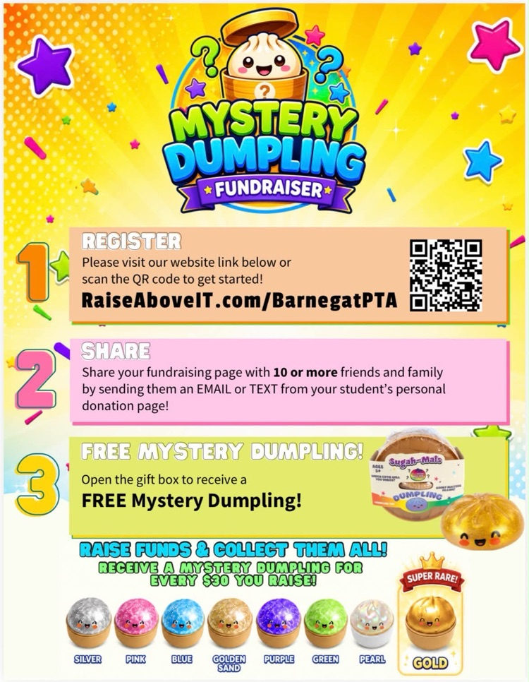Mystery Dumpling Fundraiser