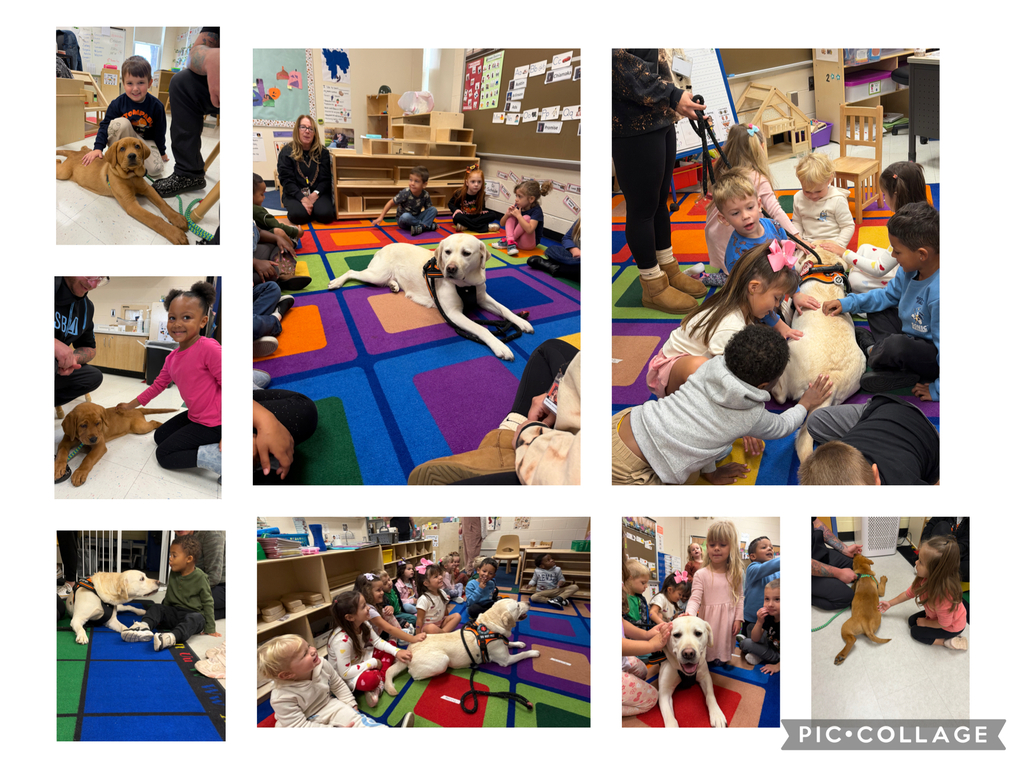 Eight picture collage of our preschool students meeting Coconut, a therapy dog, and Ravioli, a therapy dog in training. 