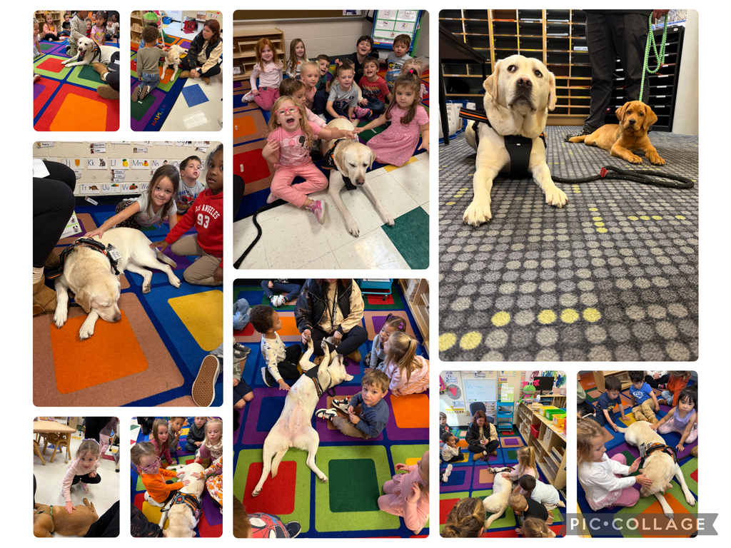 Ten picture collage of our preschool students meeting Coconut, a therapy dog, and Ravioli, a therapy dog in training. 