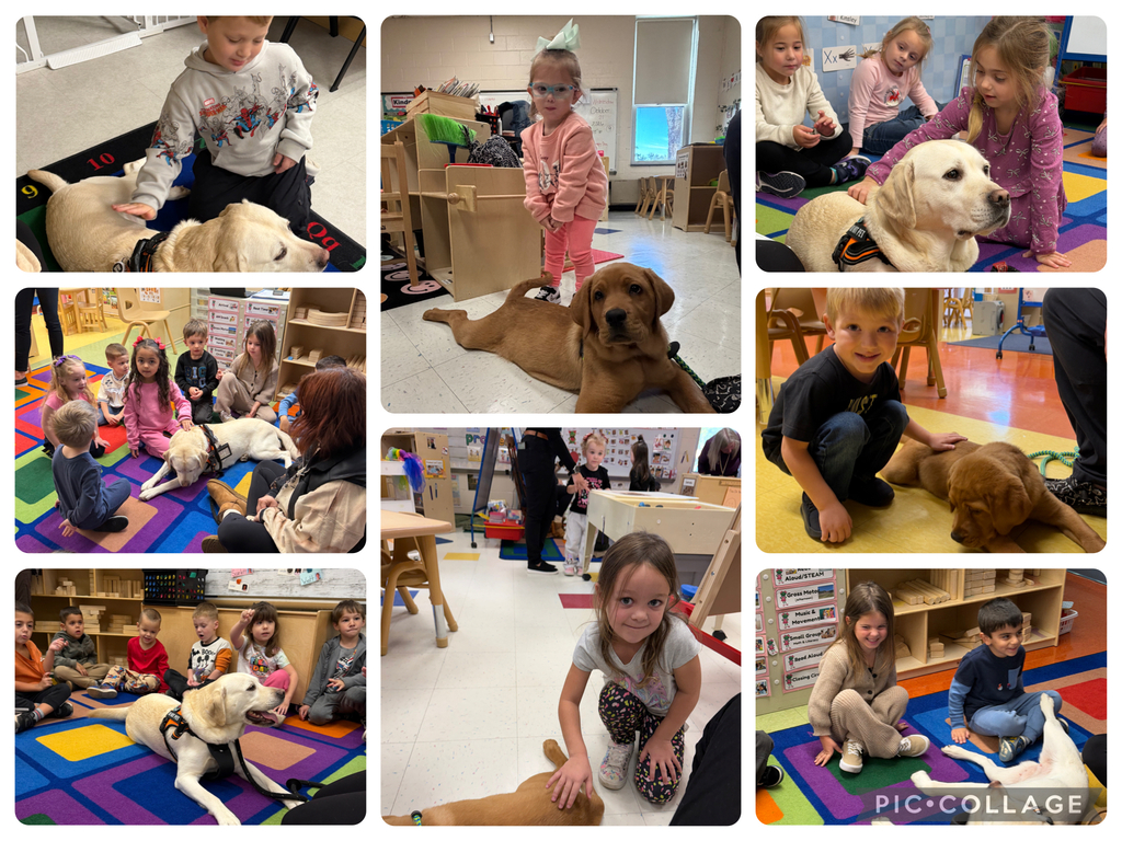 Eight picture collage of our preschool students meeting Coconut, a therapy dog, and Ravioli, a therapy dog in training. 