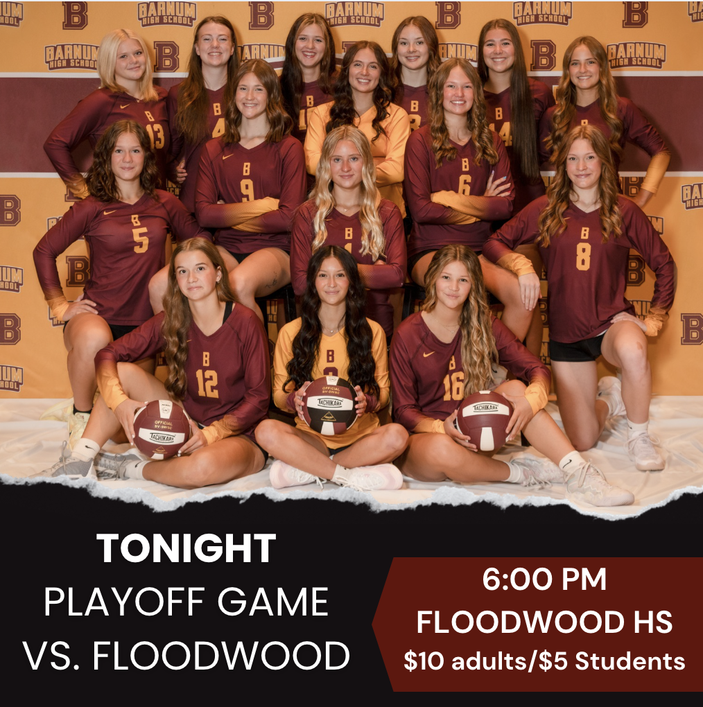 Girls Varsity VB Team