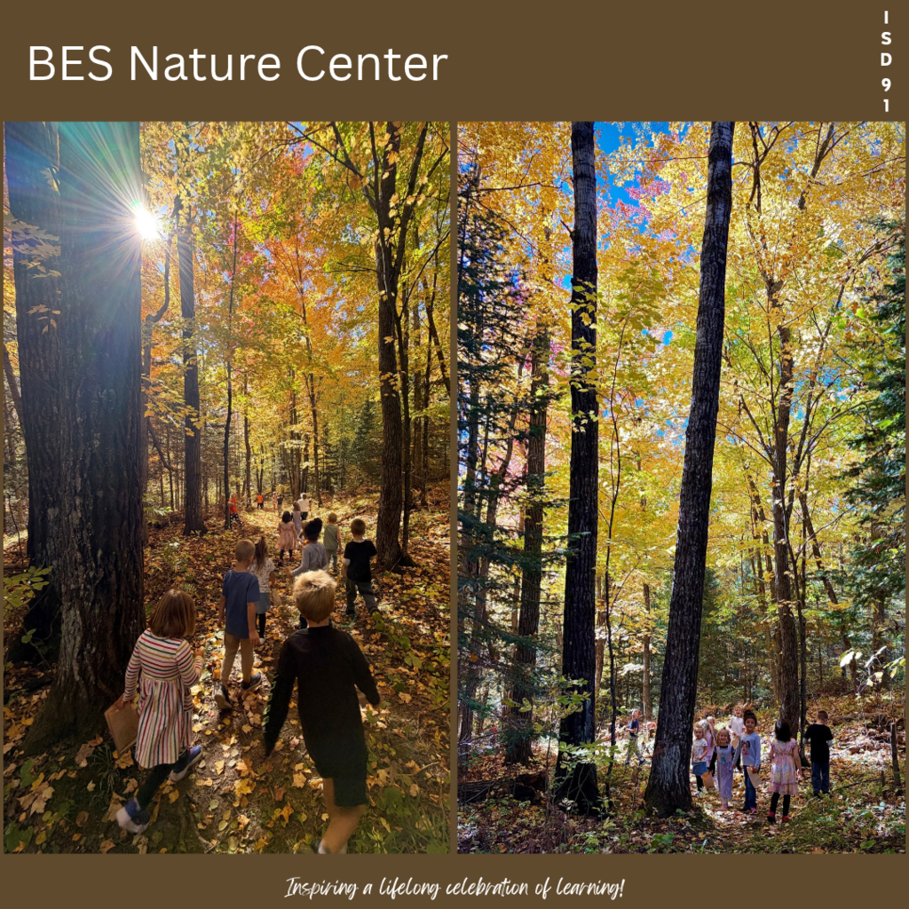 kindergartners walking through the school forest