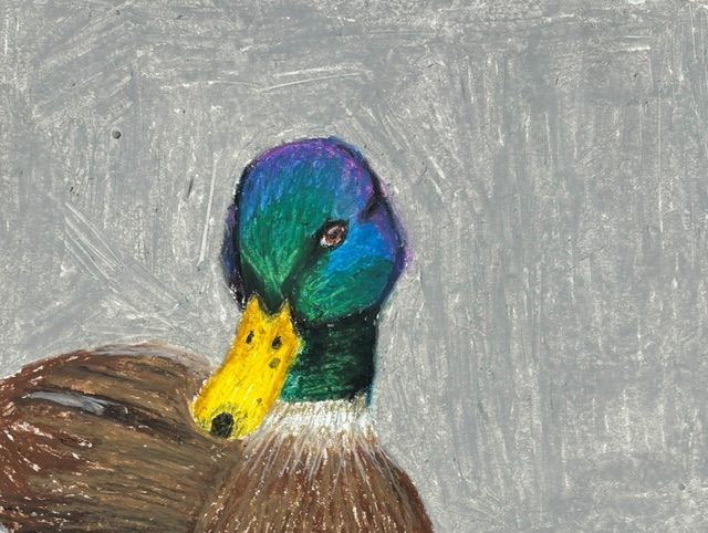 Kyra Edwards