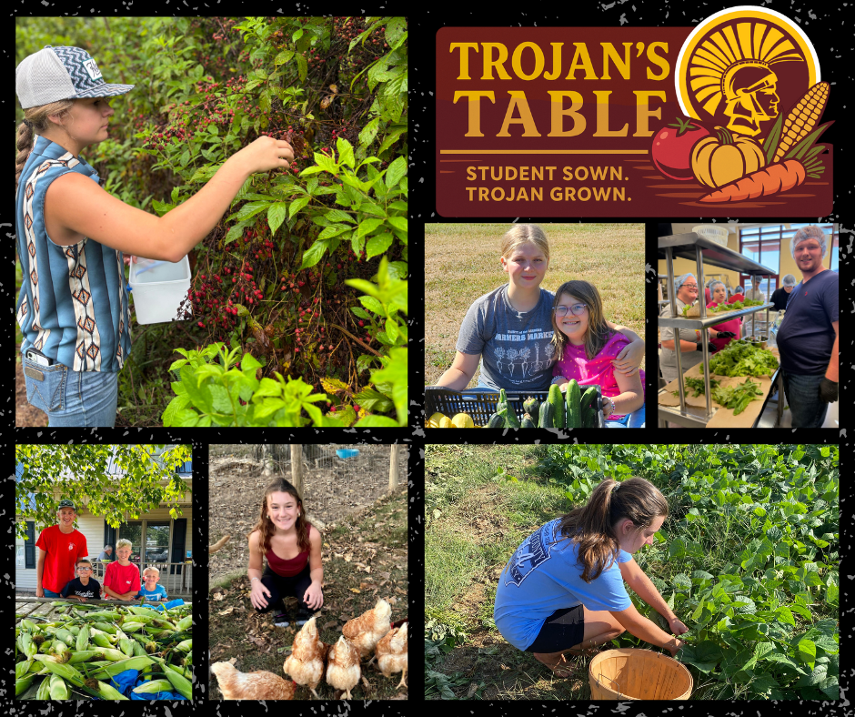 trojans-table