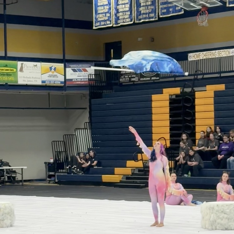color guard performance 