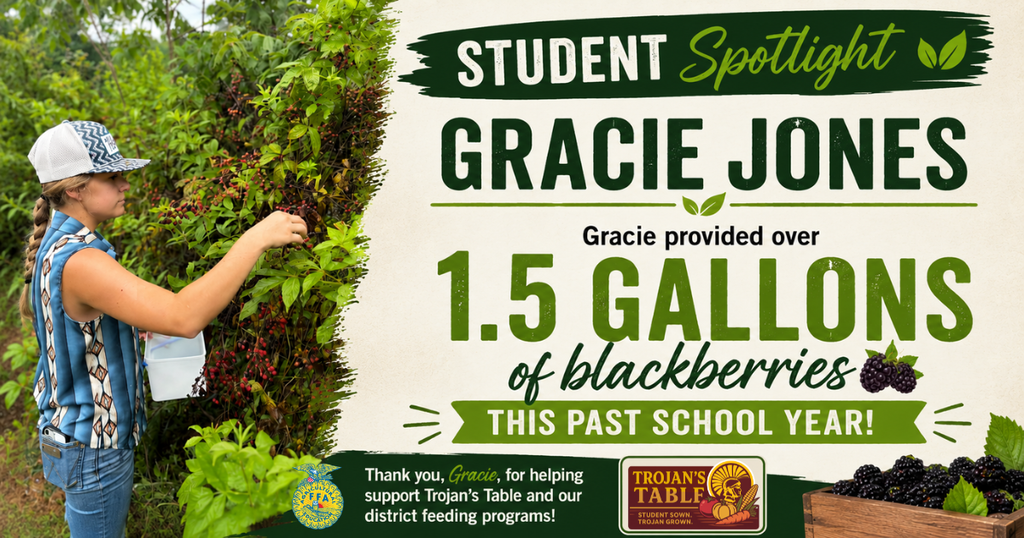 Gracie Jones