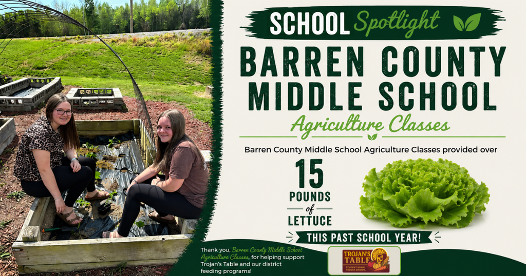 BCMS AG