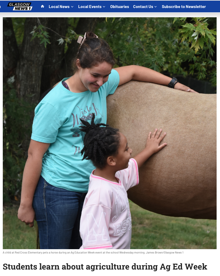 A child pets a horse