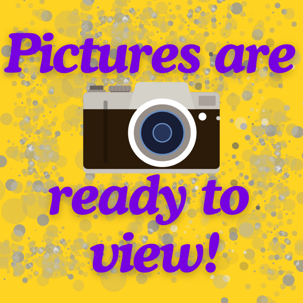 pics ready