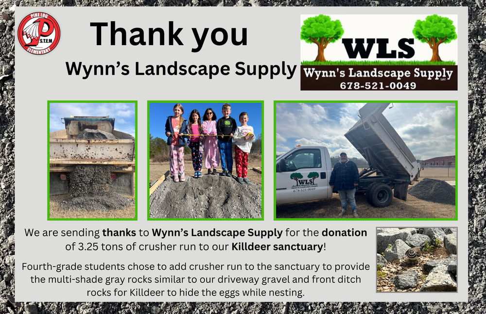 Graphic thanking Wynn’s Landscape Supply for donating 3.25 tons of crusher run to the school’s killdeer bird sanctuary. The graphic includes three photos: a close-up of crusher run gravel being unloaded from a dump truck, four elementary students standing on a pile of gravel outdoors, and a truck from Wynn’s Landscape Supply dumping gravel on school grounds. Text reads, “Thank you Wynn’s Landscape Supply,” and explains that fourth-grade students added gravel to the sanctuary to support nesting killdeer birds.