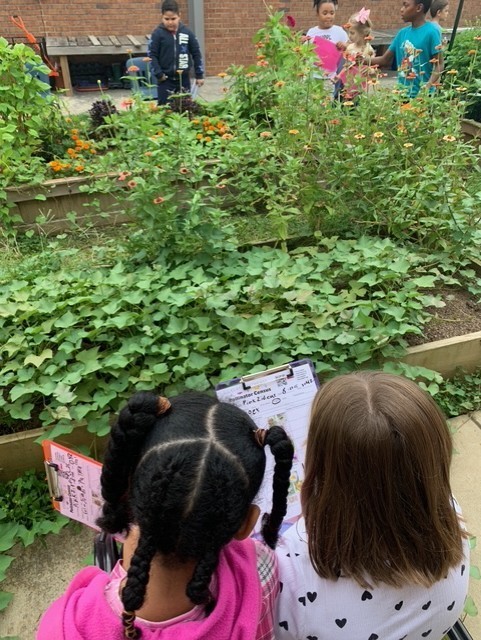 🌸🐝 Second Grade Scientists at Work! 🐞🌼    Our second graders were buzzing with excitement this week as they took part in the Great Southeast Pollinator Census, a citizen science project created by the University of Georgia. With clipboards in hand, they observed and counted pollinators like bees, butterflies, and beetles right in our school garden—just like real scientists!      This hands-on project gave students the chance to contribute valuable data toward understanding pollinator populations across the Southeast. Not only did they learn why pollinators are vital to food systems and ecosystems, but they also played a role in raising awareness and helping scientists track changes over time.       We’re so proud of our students for demonstrating curiosity, teamwork, and a love for nature. Way to go, second grade! 🌿✨    Want to learn more or get involved? Visit the census website here:    https://gsepc.org/