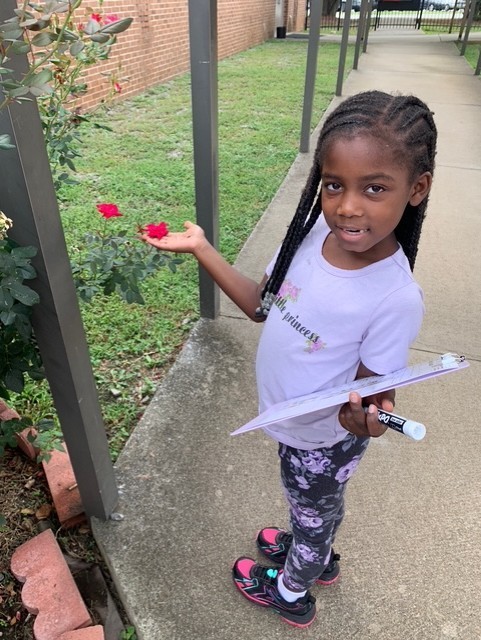 🌸🐝 Second Grade Scientists at Work! 🐞🌼    Our second graders were buzzing with excitement this week as they took part in the Great Southeast Pollinator Census, a citizen science project created by the University of Georgia. With clipboards in hand, they observed and counted pollinators like bees, butterflies, and beetles right in our school garden—just like real scientists!      This hands-on project gave students the chance to contribute valuable data toward understanding pollinator populations across the Southeast. Not only did they learn why pollinators are vital to food systems and ecosystems, but they also played a role in raising awareness and helping scientists track changes over time.       We’re so proud of our students for demonstrating curiosity, teamwork, and a love for nature. Way to go, second grade! 🌿✨    Want to learn more or get involved? Visit the census website here:    https://gsepc.org/