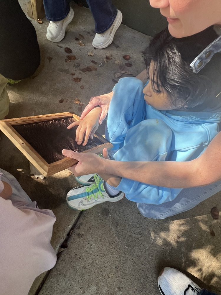 We are very fortunate to have Cobb EMC as a community partner. They sponsored our second-grade field trip to Chattahoochee Nature Center today. Our students learned about insects, visited a butterfly habitat, and explored the gardens.  