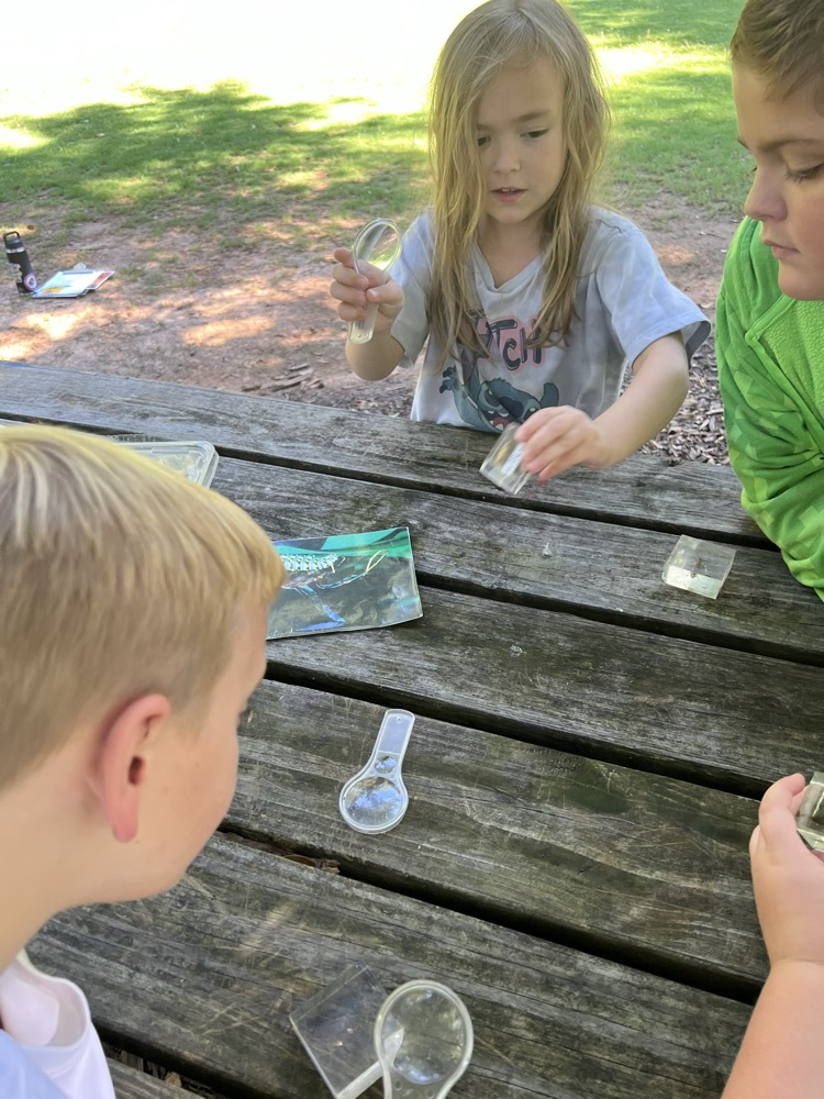We are very fortunate to have Cobb EMC as a community partner. They sponsored our second-grade field trip to Chattahoochee Nature Center today. Our students learned about insects, visited a butterfly habitat, and explored the gardens.  