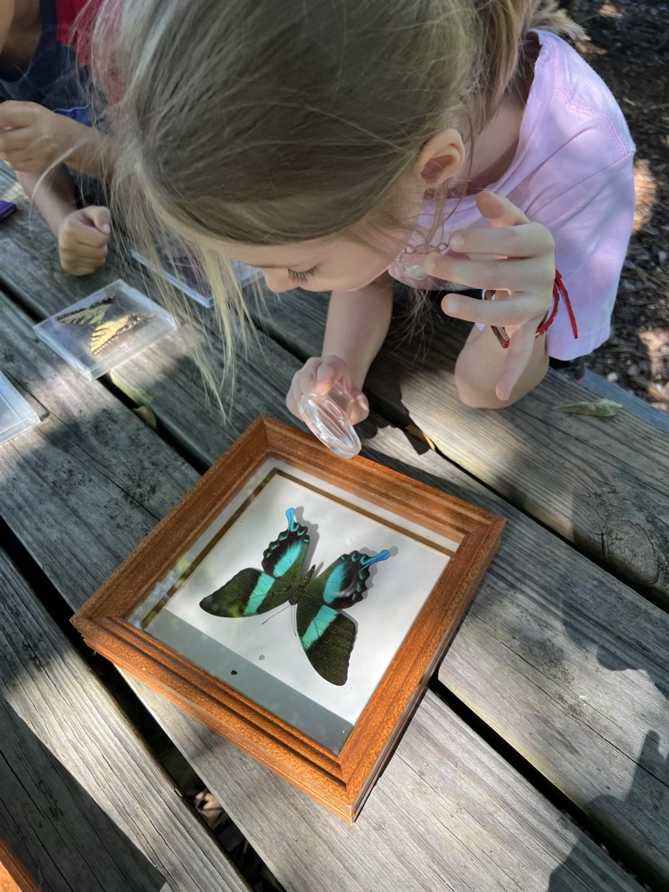 We are very fortunate to have Cobb EMC as a community partner. They sponsored our second-grade field trip to Chattahoochee Nature Center today. Our students learned about insects, visited a butterfly habitat, and explored the gardens.  