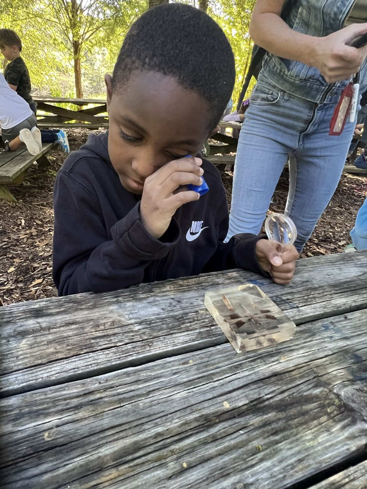We are very fortunate to have Cobb EMC as a community partner. They sponsored our second-grade field trip to Chattahoochee Nature Center today. Our students learned about insects, visited a butterfly habitat, and explored the gardens.  