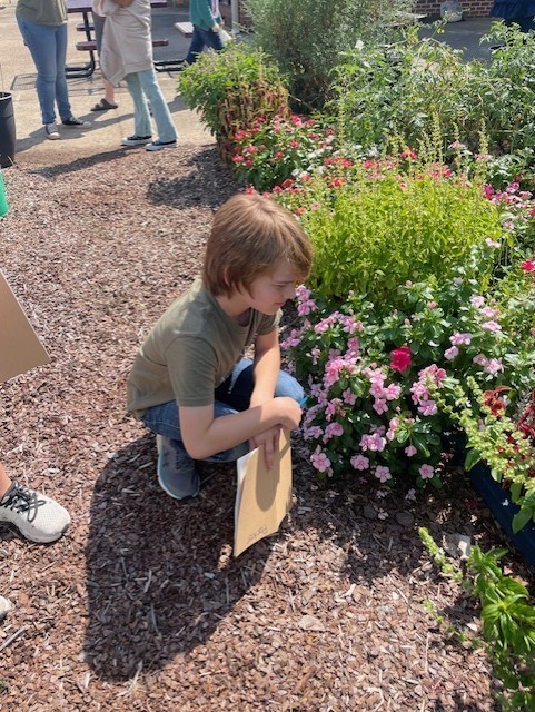Ayoung boy in a green shirt has a folder in his hand as he is examining a flower bush.