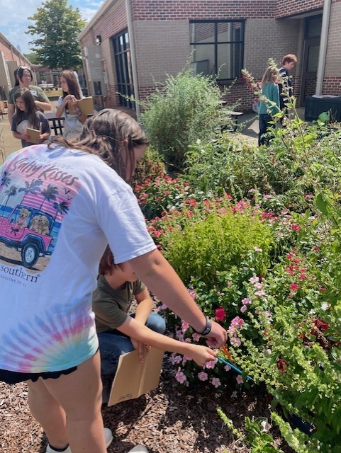 There are two students looking at a flower bush.  There are people in the background working in the garden.