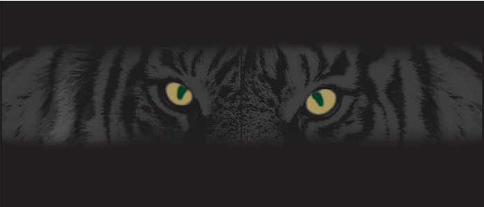 The Tiger's Eye