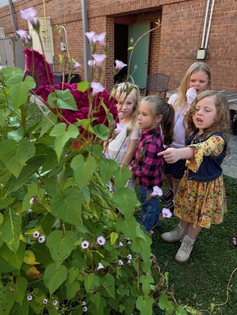 Thursday was full of Farm Fun for our K-2 graders!  All our littles got to experience life on a farm as they traveled around the school grounds visiting Georgia agricultural animals, thanks to our amazing local community partners who brought their own animals and equipment to our campus for us all to enjoy!  A big thank you to: Kevin and baby Blakeley from K&T Farms The Bagwell family Pettit Creek Farms The Joslin family Georgia Farm Bureau Bartow County Master Gardeners  Learning about agriculture and animals is important for our elementary students because it helps them understand where their food comes from, the hard work of local farmers, and the role agriculture plays in Georgia’s economy and community. It connects classroom learning to real-world experiences and inspires appreciation for the people who help feed us every day.  We enjoyed having a special guest, Sharon Viktora, BCSS Board Member, who visited our AG Mobile and Animal Encounter.  We appreciate everyone who made this such a memorable learning experience for our students! 
