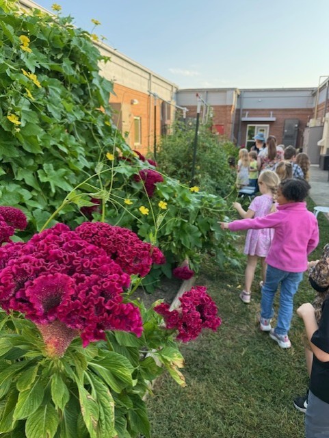 Thursday was full of Farm Fun for our K-2 graders!  All our littles got to experience life on a farm as they traveled around the school grounds visiting Georgia agricultural animals, thanks to our amazing local community partners who brought their own animals and equipment to our campus for us all to enjoy!  A big thank you to: Kevin and baby Blakeley from K&T Farms The Bagwell family Pettit Creek Farms The Joslin family Georgia Farm Bureau Bartow County Master Gardeners  Learning about agriculture and animals is important for our elementary students because it helps them understand where their food comes from, the hard work of local farmers, and the role agriculture plays in Georgia’s economy and community. It connects classroom learning to real-world experiences and inspires appreciation for the people who help feed us every day.  We enjoyed having a special guest, Sharon Viktora, BCSS Board Member, who visited our AG Mobile and Animal Encounter.  We appreciate everyone who made this such a memorable learning experience for our students! 