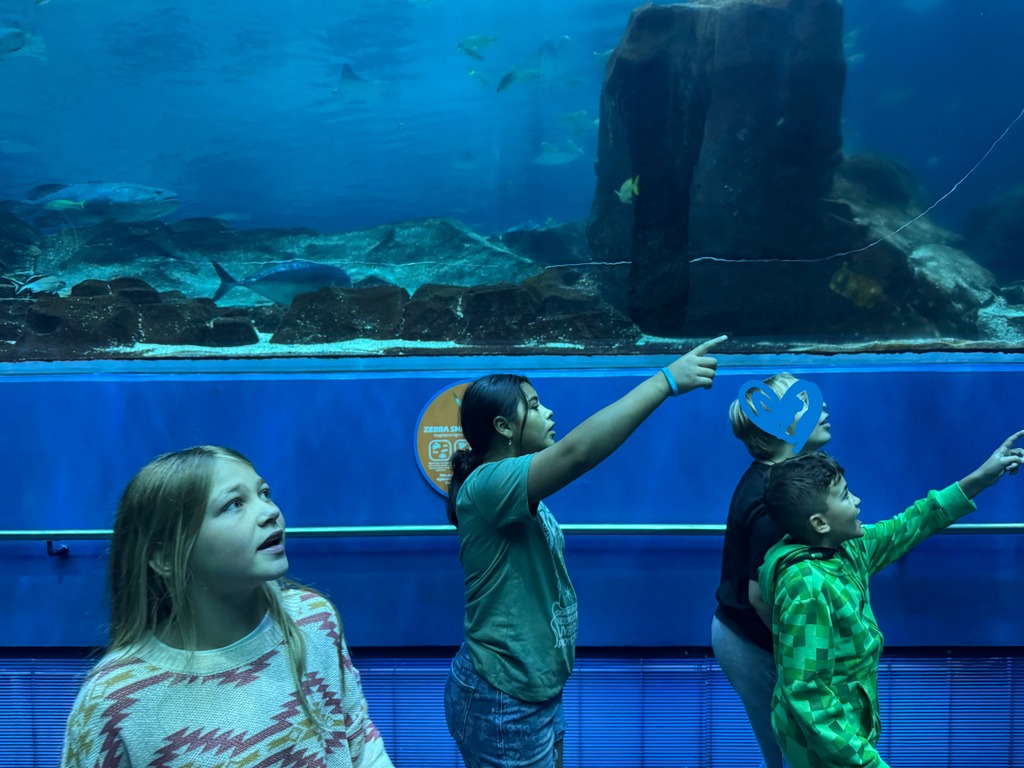 5th grade students had a blast today at the Georgia Aquarium. They explored each exhibit to learn more about the animals and how they are taken care of. Mrs. Kron and Mrs. Westbrook's class went to the Sea Lion show and got to experience the amazing Dolphin show. The kids had a blast and got to sit front row to get splashed by the animals! Ms. Taylor's class explored the exhibits and even got to take home some souvenir postcards! Overall, it was a great day!