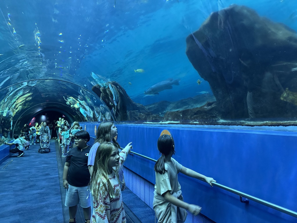 5th grade students had a blast today at the Georgia Aquarium. They explored each exhibit to learn more about the animals and how they are taken care of. Mrs. Kron and Mrs. Westbrook's class went to the Sea Lion show and got to experience the amazing Dolphin show. The kids had a blast and got to sit front row to get splashed by the animals! Ms. Taylor's class explored the exhibits and even got to take home some souvenir postcards! Overall, it was a great day!