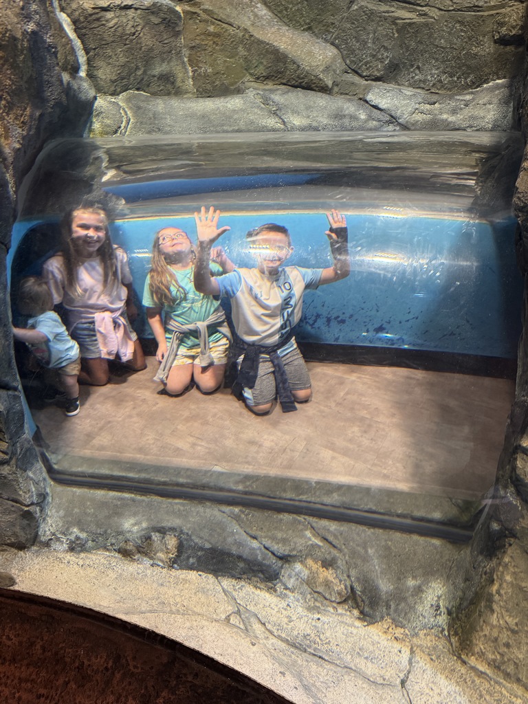 5th grade students had a blast today at the Georgia Aquarium. They explored each exhibit to learn more about the animals and how they are taken care of. Mrs. Kron and Mrs. Westbrook's class went to the Sea Lion show and got to experience the amazing Dolphin show. The kids had a blast and got to sit front row to get splashed by the animals! Ms. Taylor's class explored the exhibits and even got to take home some souvenir postcards! Overall, it was a great day!