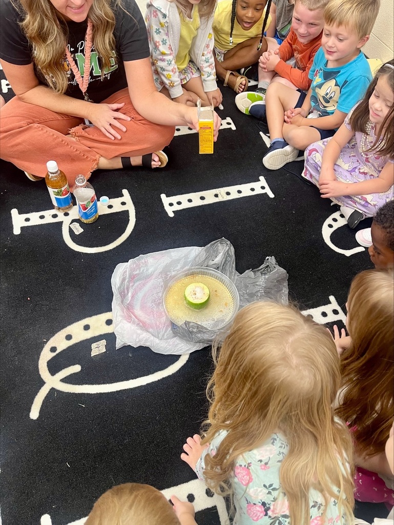 STEAM in PreK with Mrs. Smith and Mrs. Cagle