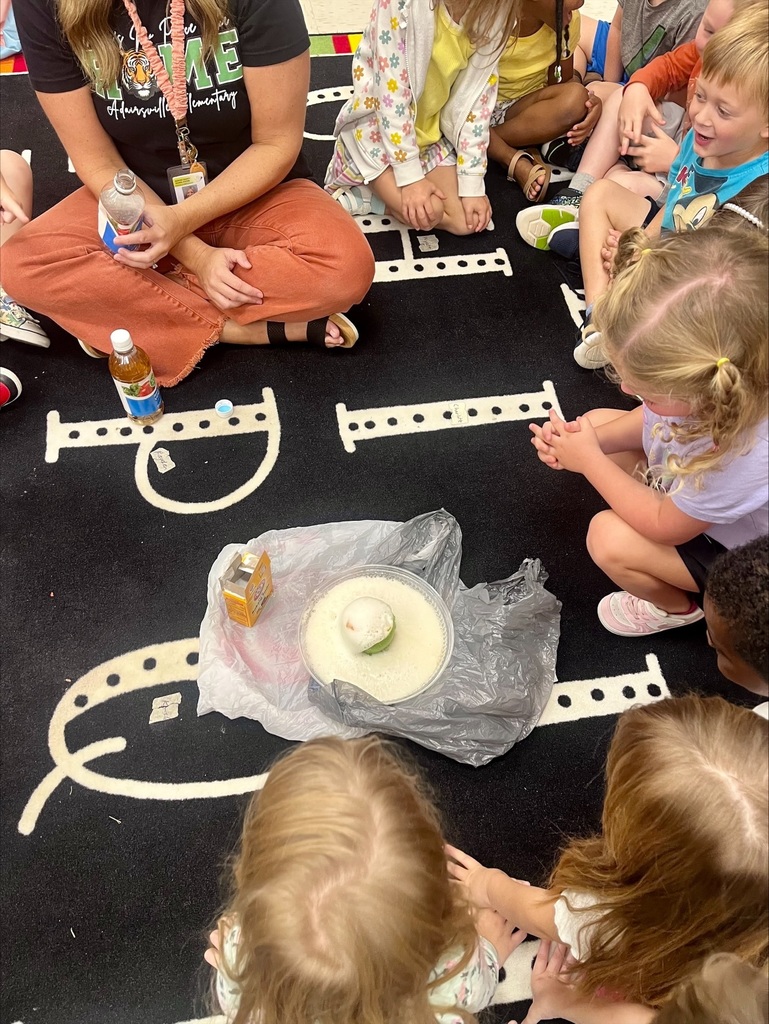 STEAM in PreK with Mrs. Smith and Mrs. Cagle