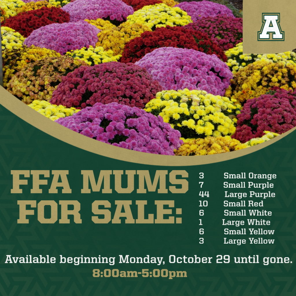 FFA MUM SALE