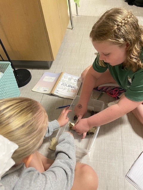 Students using the engineering design process to build a barrier for floods.