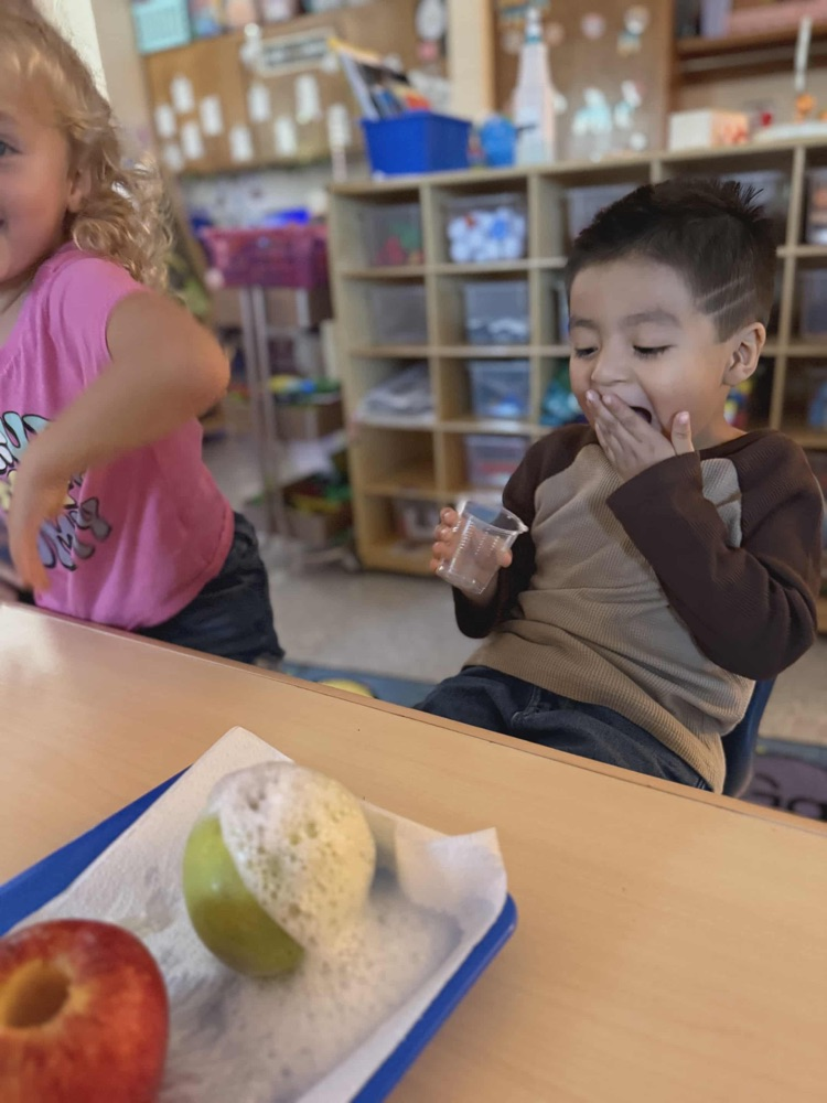 “ Pre-K has had such a fun time learning about apples this week! We’ve learned about life cycles, voted on our favorite apple, made apple volcanoes and ended our week making homemade apple sauce! 🍎🍏 “