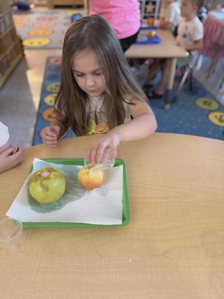 “ Pre-K has had such a fun time learning about apples this week! We’ve learned about life cycles, voted on our favorite apple, made apple volcanoes and ended our week making homemade apple sauce! 🍎🍏 “