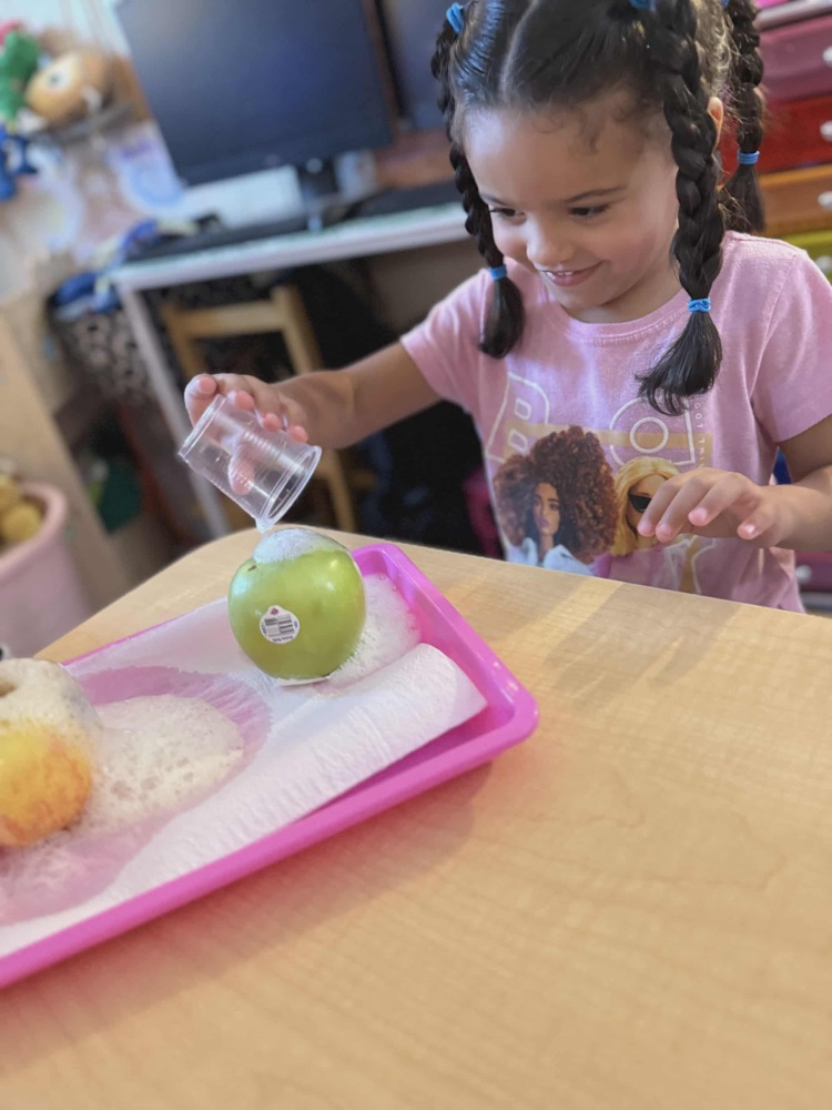 “ Pre-K has had such a fun time learning about apples this week! We’ve learned about life cycles, voted on our favorite apple, made apple volcanoes and ended our week making homemade apple sauce! 🍎🍏 “