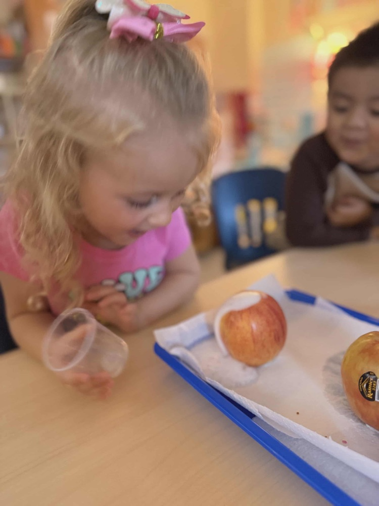 “ Pre-K has had such a fun time learning about apples this week! We’ve learned about life cycles, voted on our favorite apple, made apple volcanoes and ended our week making homemade apple sauce! 🍎🍏 “