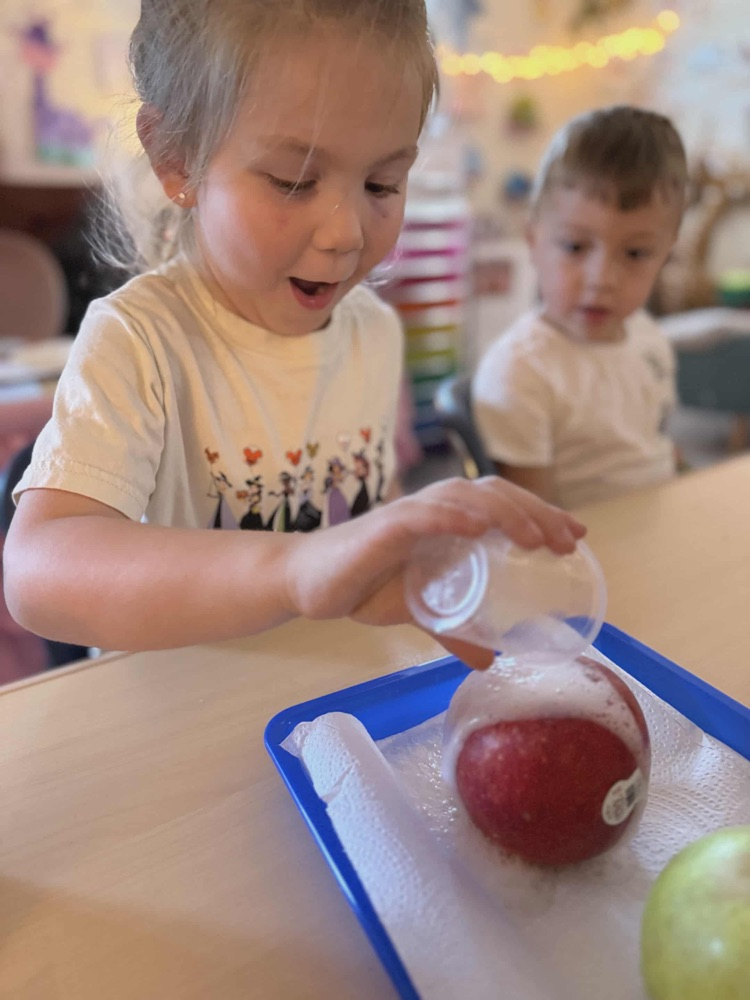 “ Pre-K has had such a fun time learning about apples this week! We’ve learned about life cycles, voted on our favorite apple, made apple volcanoes and ended our week making homemade apple sauce! 🍎🍏 “
