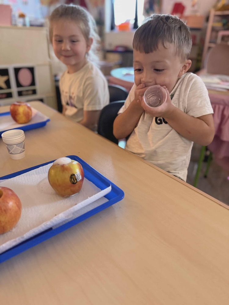 “ Pre-K has had such a fun time learning about apples this week! We’ve learned about life cycles, voted on our favorite apple, made apple volcanoes and ended our week making homemade apple sauce! 🍎🍏 “