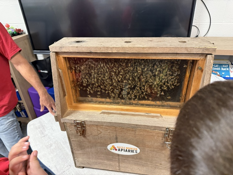 third grade beekeeper visit