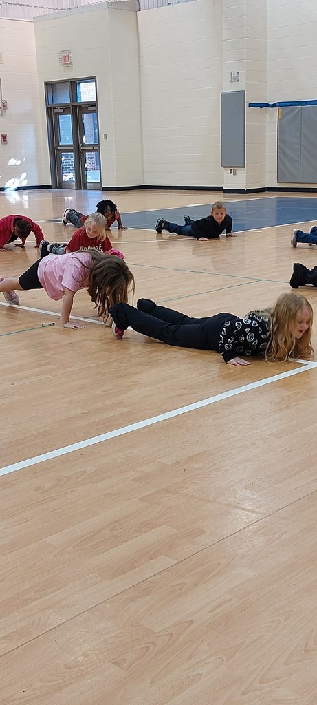 students doing push-ups in a gym
