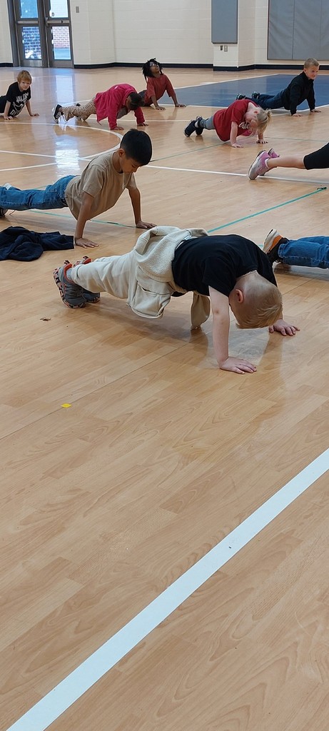 students doing push-ups in a gym