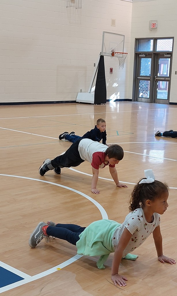students doing push-ups in a gym