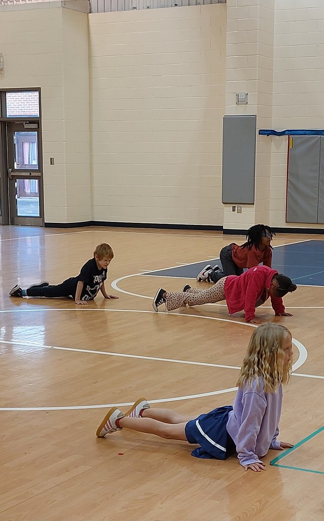 students doing push-ups in a gym