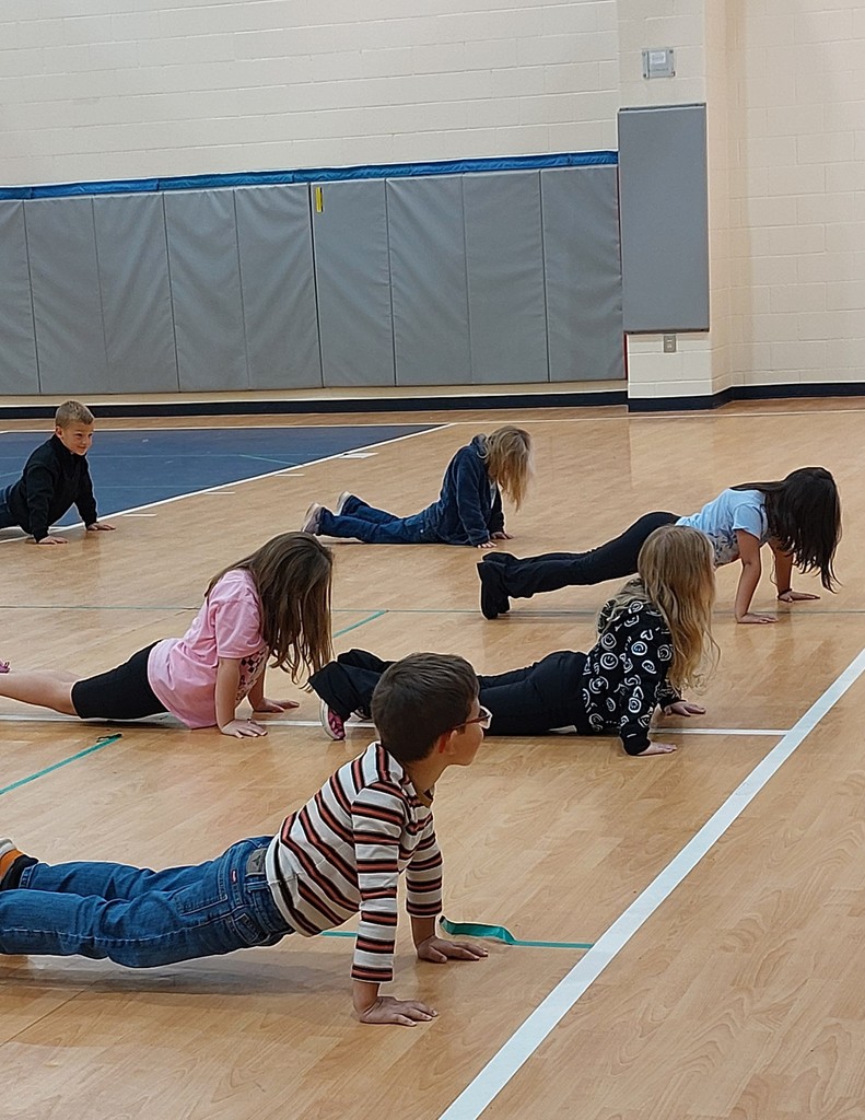students doing push-ups in a gym