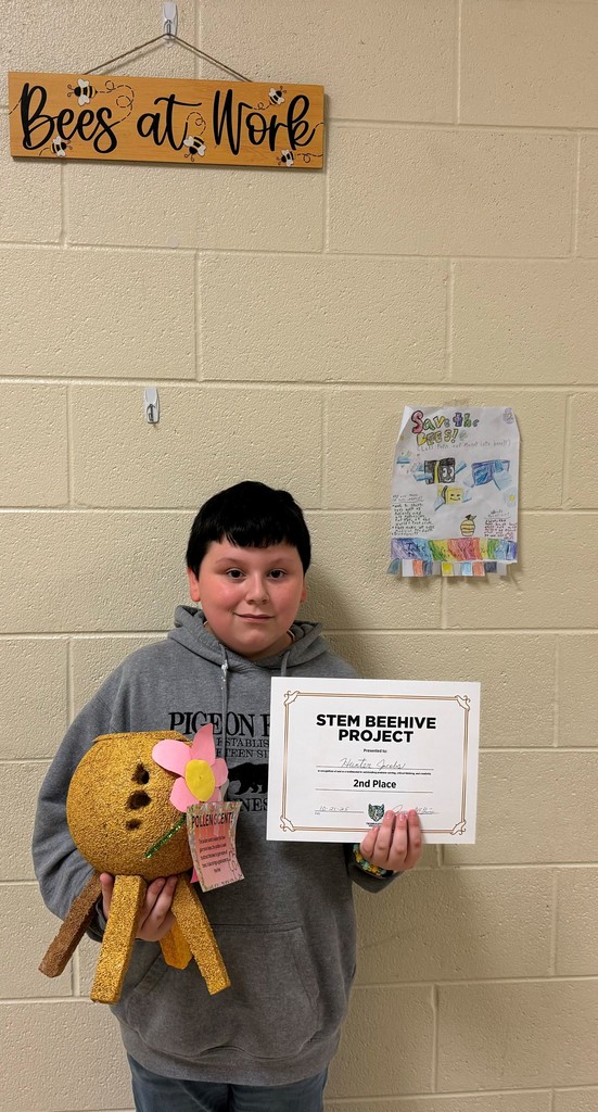 Student Showing Project