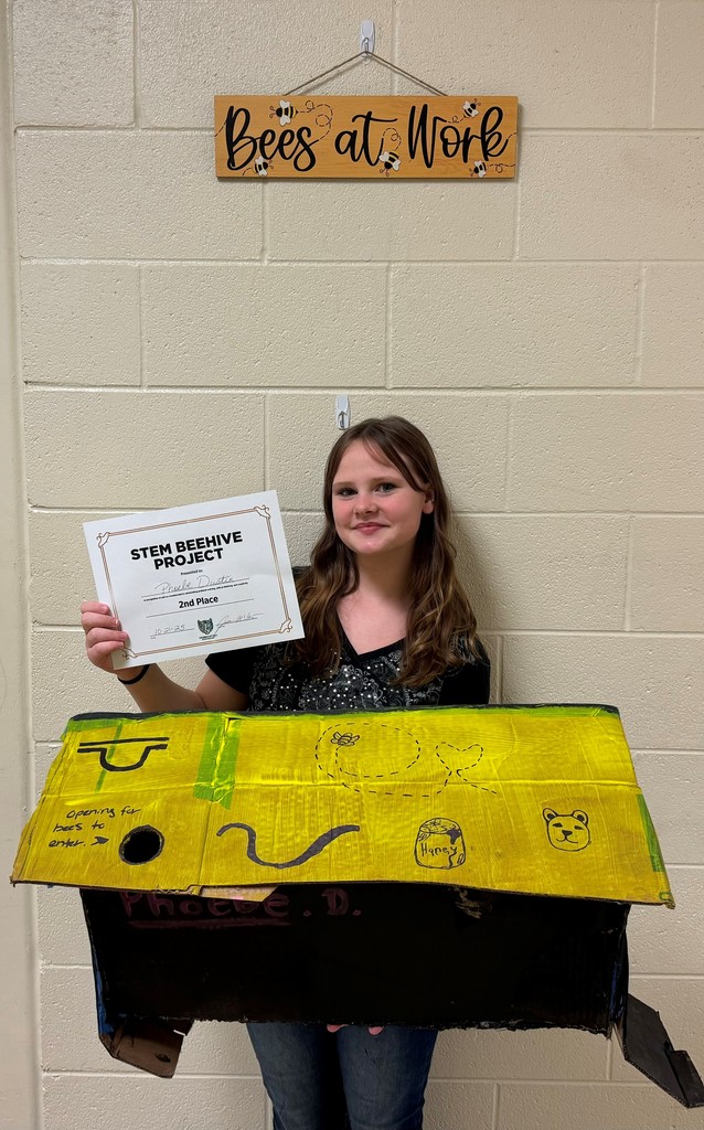 Student Showing Project